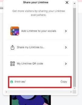 Cara Membuat Linktree di Instagram Agar Lebih Menarik - Rumahweb