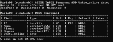 Apa Itu MySQL? Pengertian, Fungsi, dan Tutorial Lengkapnya