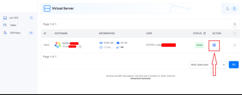 Manage VPS